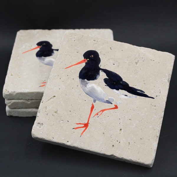 Alttag: Oyster Catcher Coaster by Barbara Allen  from ShonaD | 