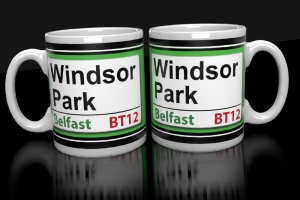 Windsor Park GAWA Modern Belfast Mug