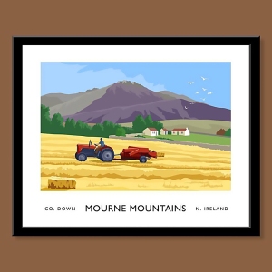 Mournes Mountains - Hay Making